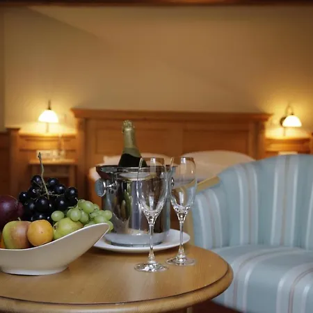 Hotel Rebers Pflug 3*