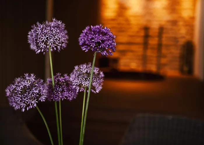 Otel Rebers Pflug 3*