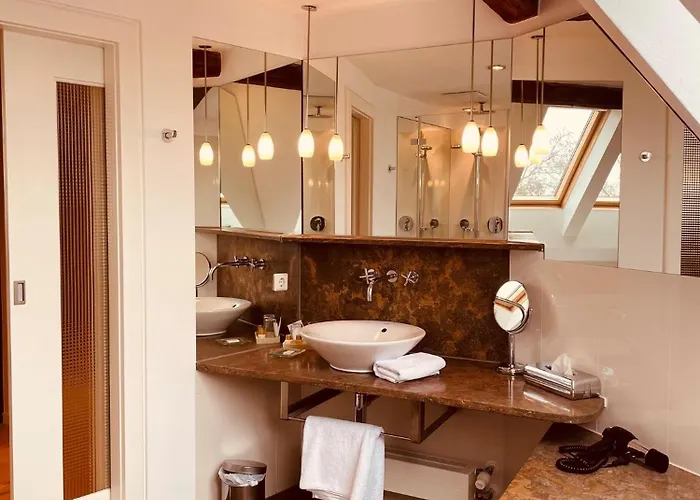 Rebers Pflug Otel 3*