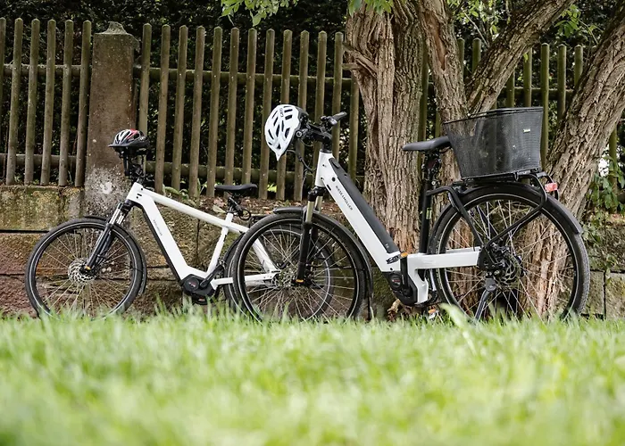 レーバース プフルク シュヴェービッシュ・ハル